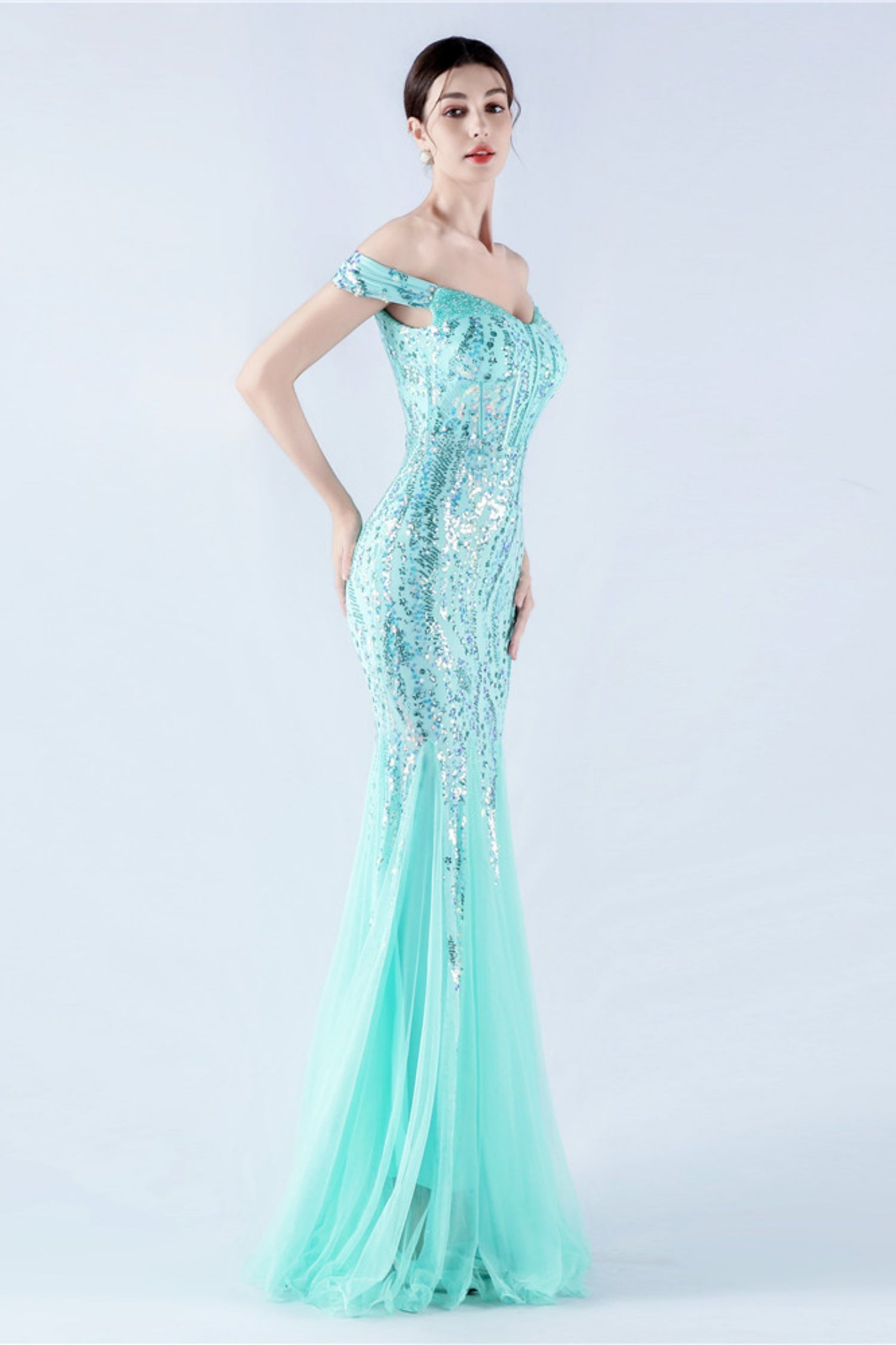 Lennon Mint Green Sequin Tulle Maxi Evening Dress