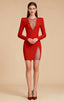 Lucia Red Mesh Diamond Bandage Mini Dress