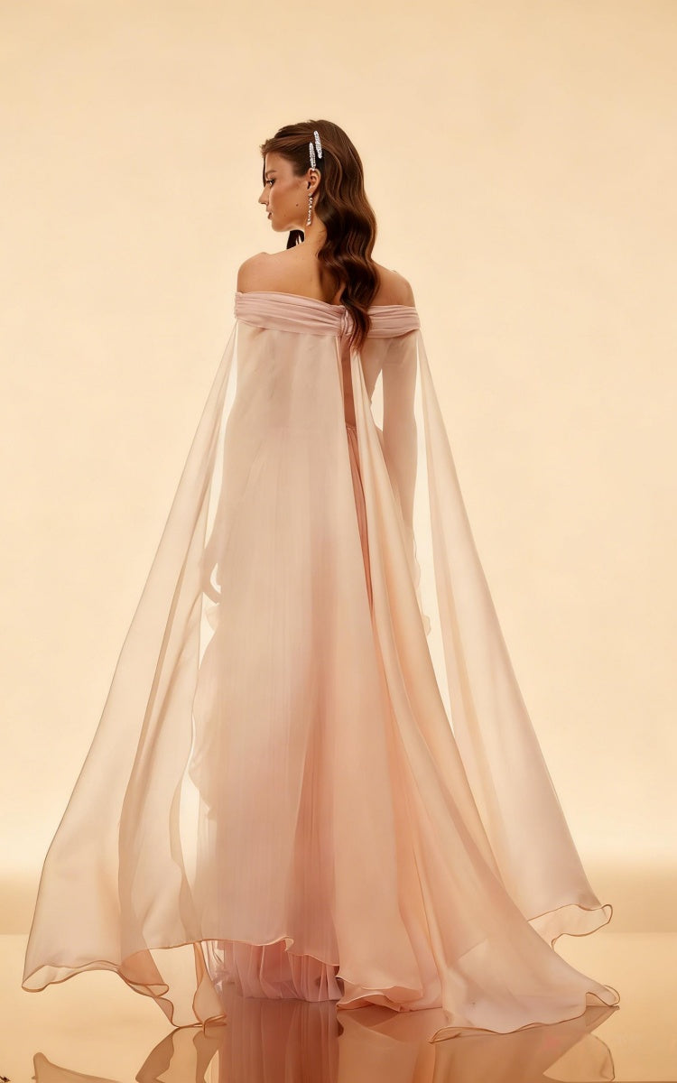 Mason Off-Shoulder Ribbon Mesh Maxi Dress