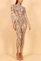 Olwen Silver Sequin Mesh Jumpsuit